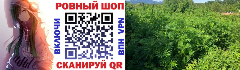 Названия наркотиков Хадыженск ГАШИШ  Конопля  A-PVP  МЕФ  Cocaine 