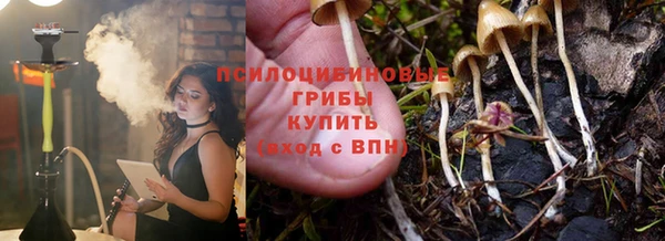 альфа пвп Бородино