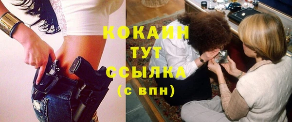 альфа пвп Бородино