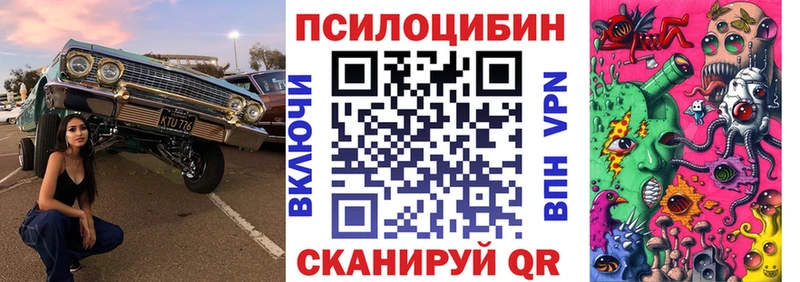 Псилоцибиновые грибы Psilocybine cubensis  Хадыженск 